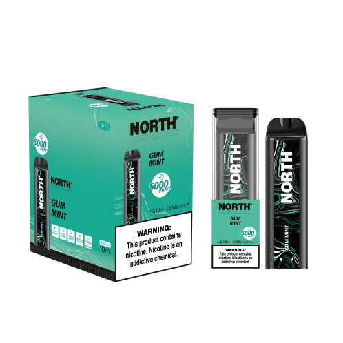 NORTH GUM MINT 5000 PUFF 10CT