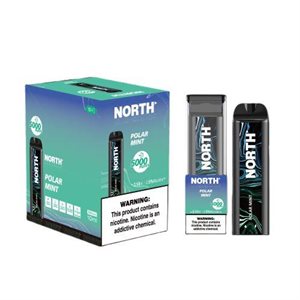 NORTH POLAR MINT 5000 PUFF 10CT