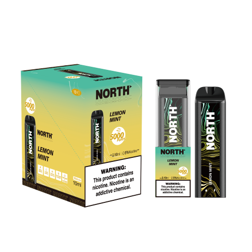 NORTH LEMON MINT 5000 PUFF 10CT