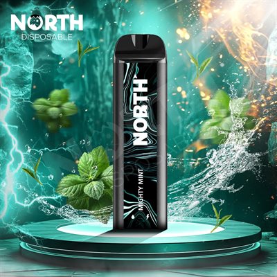 NORTH MIGHTY MINT 5000 PUFF 10CT