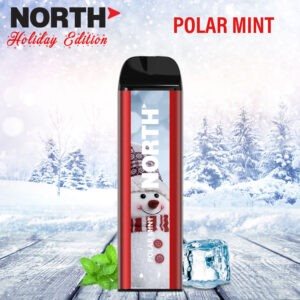 NORTH HOLIDAY POLAR MINT 5000 PUFF 10CT